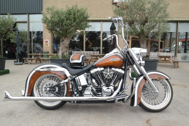 Harley-Davidson FAT BOY FLSTFI