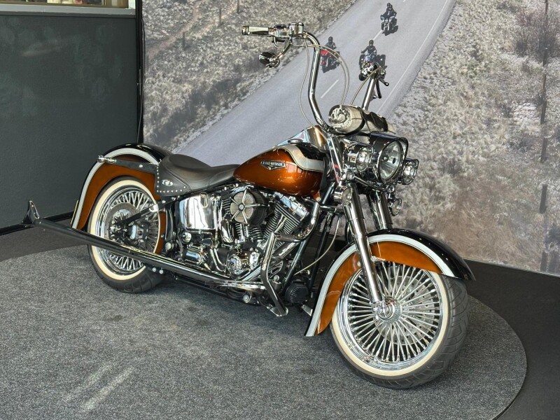 Harley-Davidson FAT BOY FLSTFI