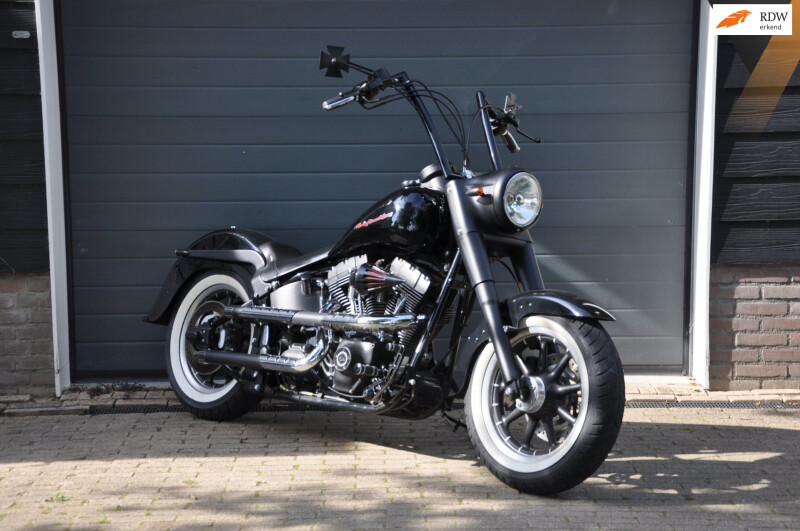 Harley Davidson Heritage Softail Special