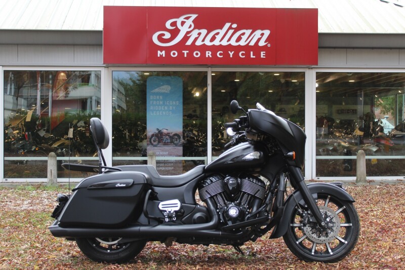 Indian Chieftain  chieftain dark horse