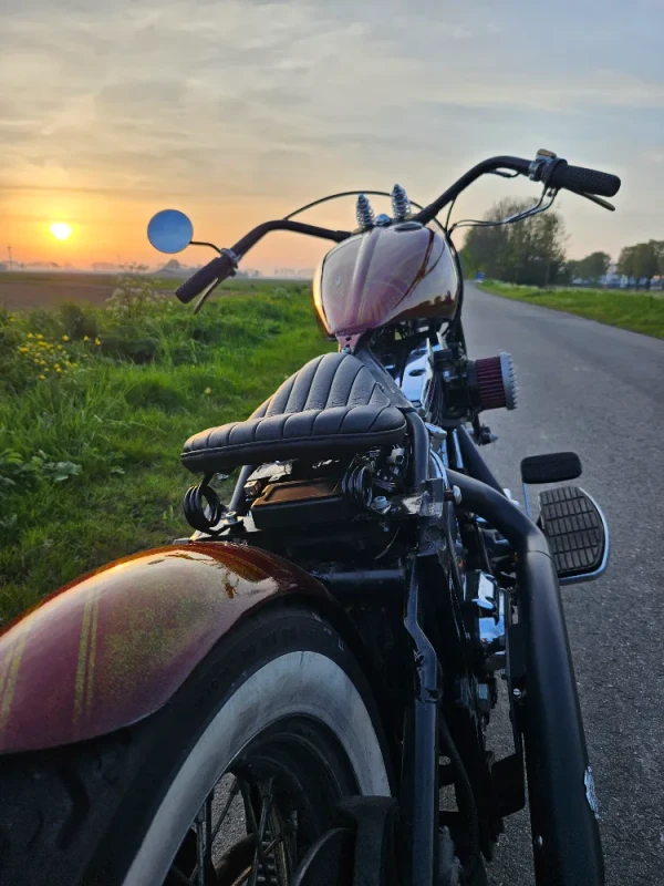 Harley FLSTC Softail Custom