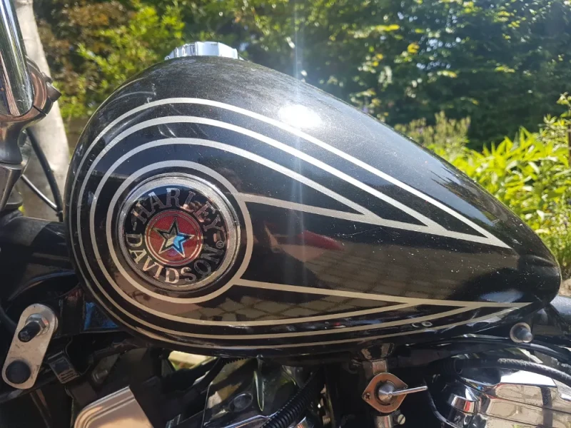 Shorty Sportster XL1200C Chopper