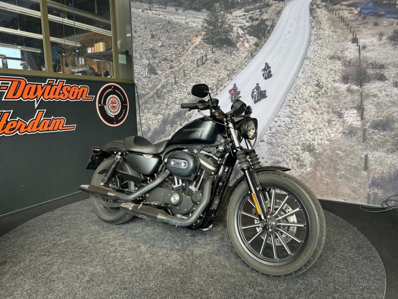Harley-Davidson XL883N Iron Custom Color