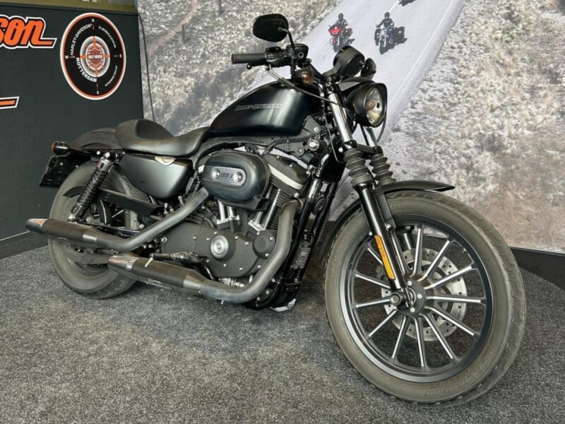 Harley-Davidson XL883N Sportster Iron