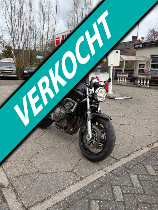 Honda Tour CB 600 F Hornet *Technisch super!
