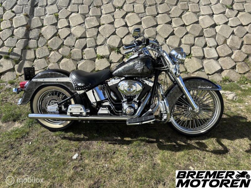 Harley Davidson 88 FLSTCI Heritage softail Mexican Style