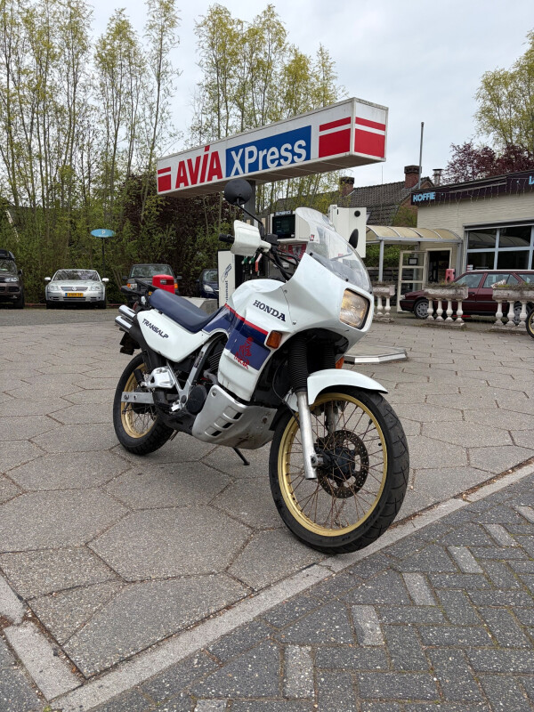 Honda All-Road XL 600 V Transalp *Tricolor
