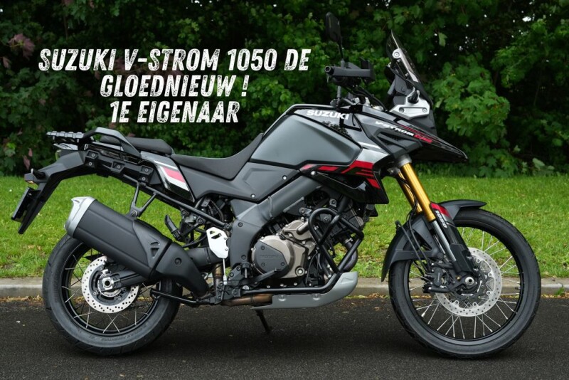 SUZUKI DL 1050 DE