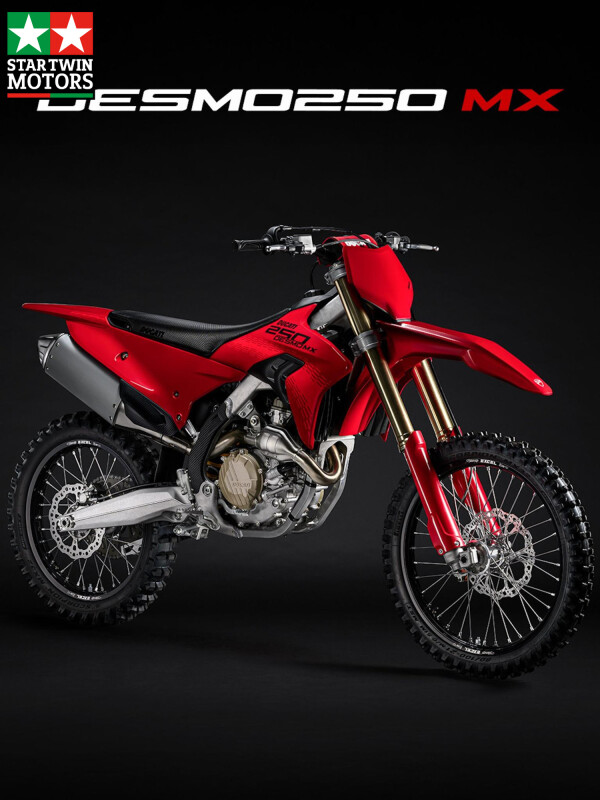 Ducati Desmo 250 MX