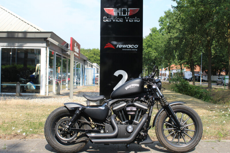 Harley-Davidson XL 883  XL883N Iron